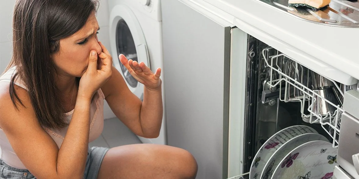 Signs Your Dishwasher Might Be a Breeding Ground for Bacteria