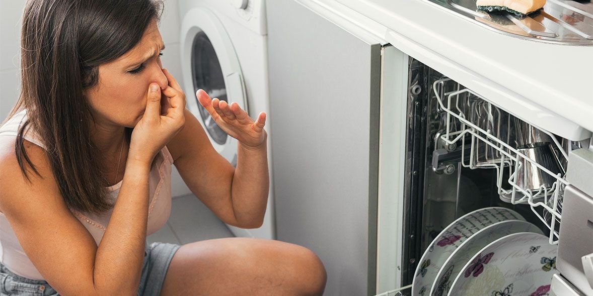 Signs Your Dishwasher Might Be a Breeding Ground for Bacteria