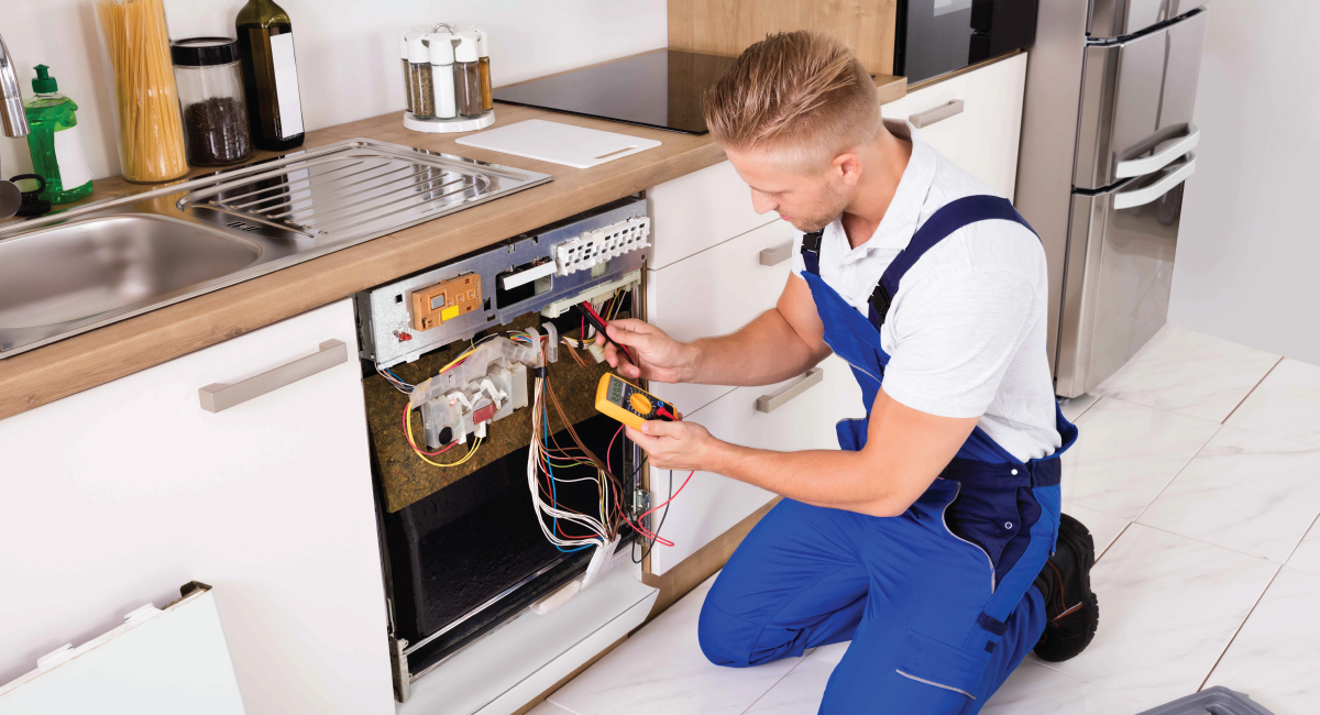Professionals for Maintenance