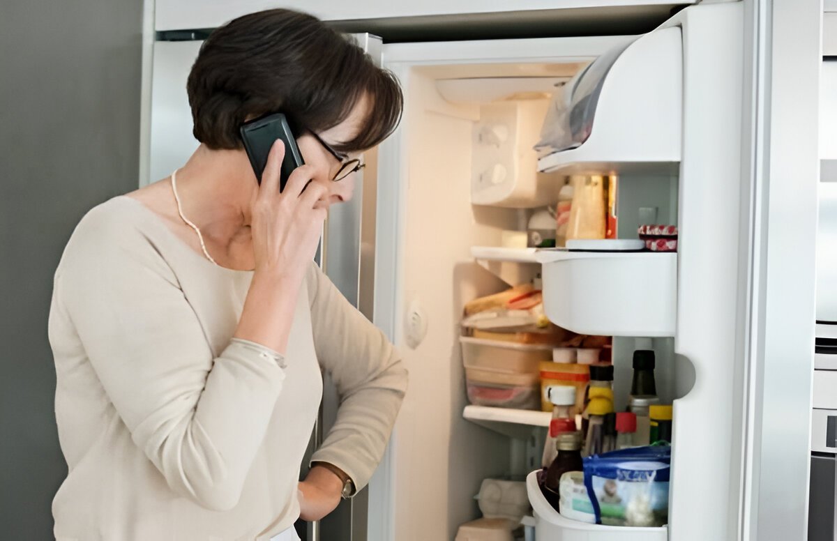 Unusual noises coming from the refrigerator