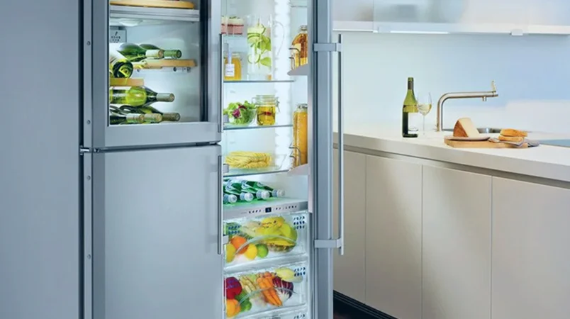 Healthy Refrigerator Hygiene