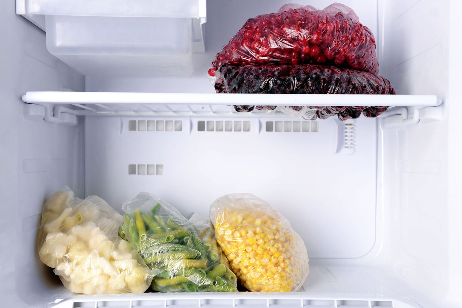 Freezer Repair in Charlotte