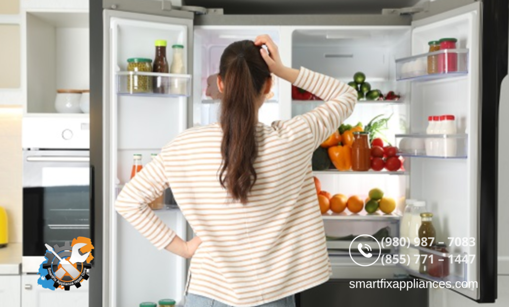 What to Do When Your Fridge Stops Cooling